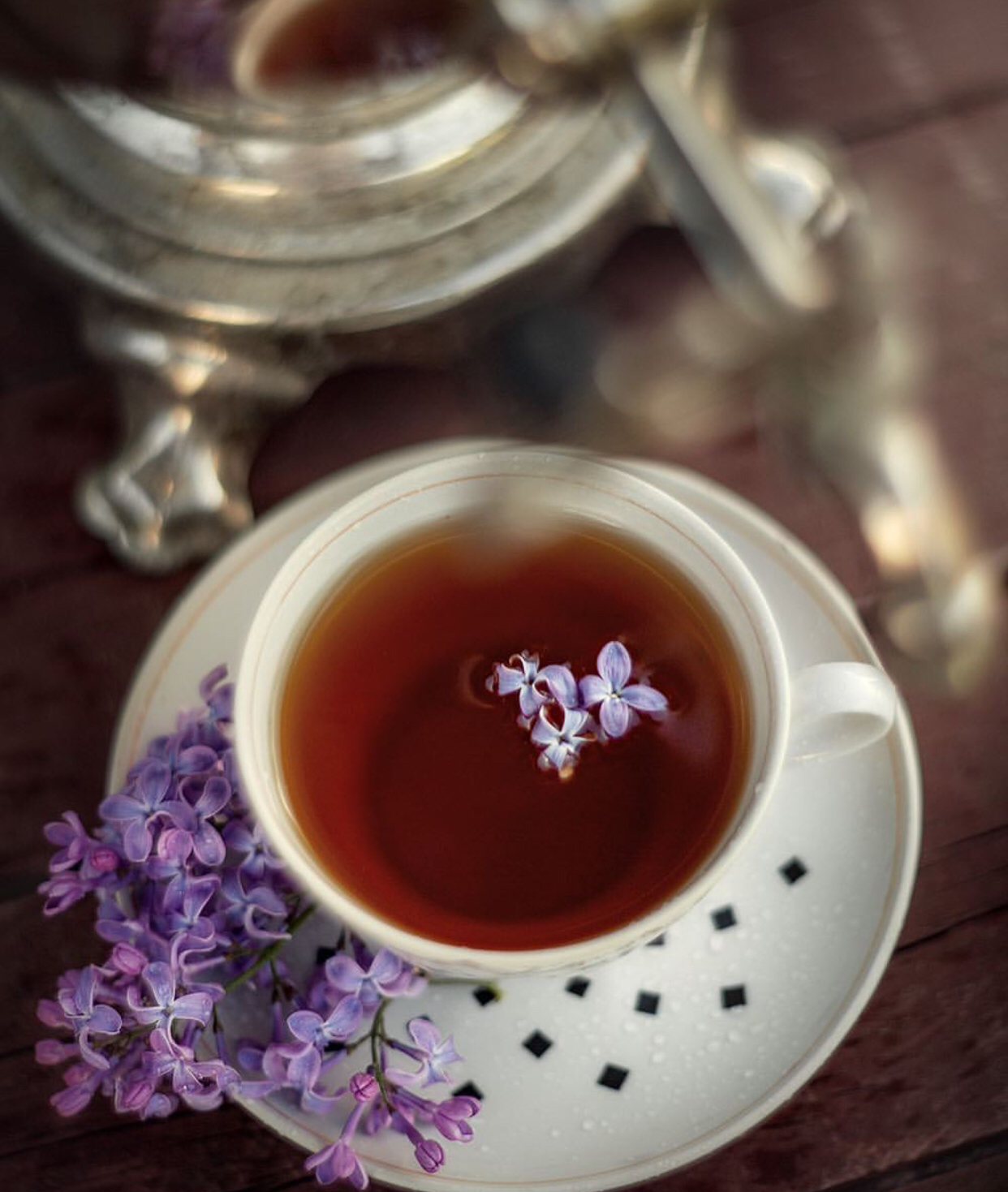 范莎