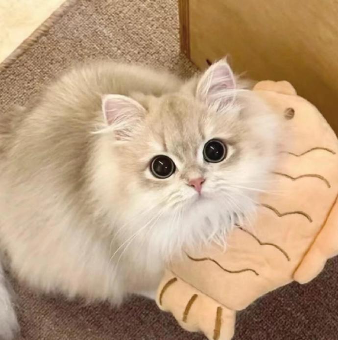 任筱璇